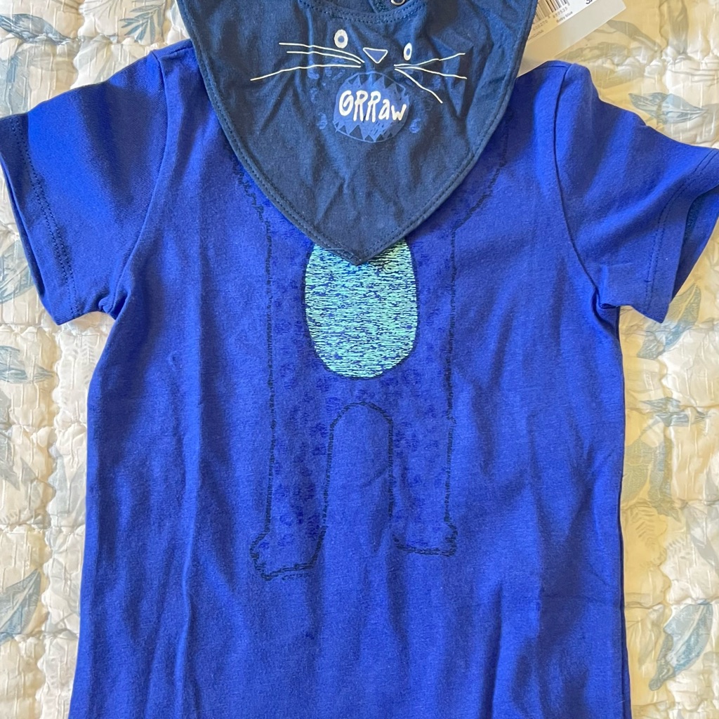 Catimini Boy Tshirts 3a